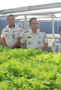 berita-rekomendasi-foto